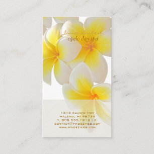 PixDezines Hawaii Plumeria Business Card