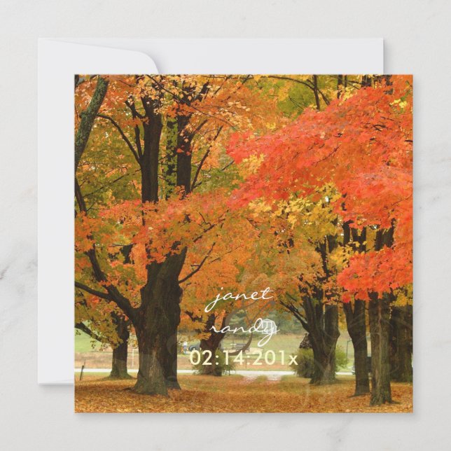 PixDezines in the woods, fall weddings/DIY events Invitation (Front)