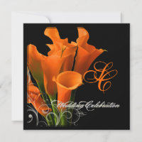 PixDezines orange calla lily/DIY background colour