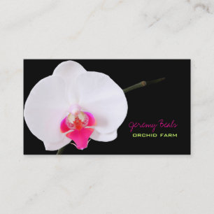 PixDezines orchid/diy background colour♥♥♥ Business Card