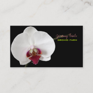 PixDezines orchid/diy background colour♥♥♥ Business Card
