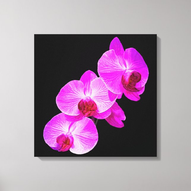 PixDezines Orchid/Hot Pink/DIY Background Colour Canvas Print (Front)