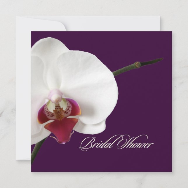 PixDezines orchids/phalaenopsis Invitation (Front)