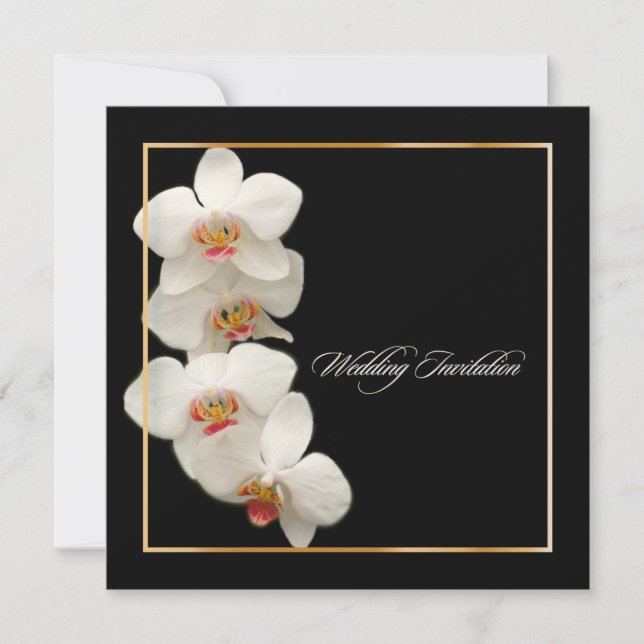 PixDezines orchids/phalaenopsis Invitation (Front)