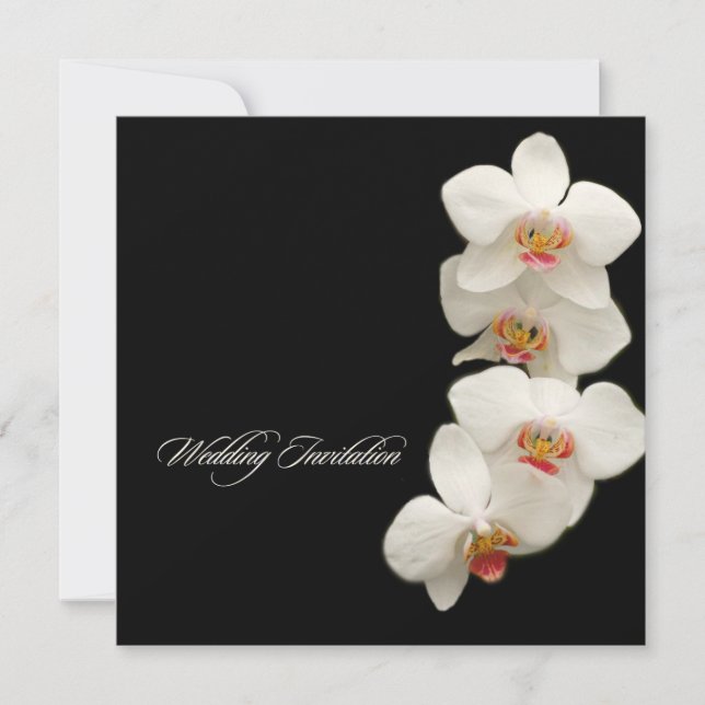 PixDezines orchids/phalaenopsis Invitation (Front)
