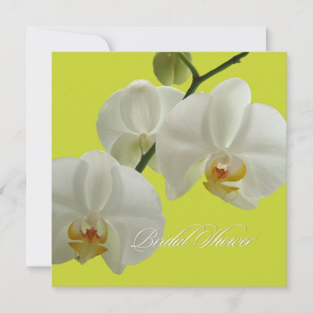 PixDezines orchids/phalaenopsis Invitation (Front)