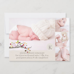 PixDezines owl photo template birth announcement