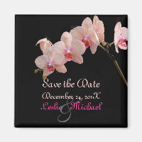 PixDezines Peach Orchid, Save the Date