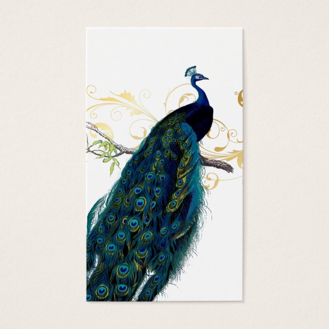 PixDezines peacock (Front)