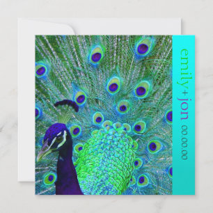 PixDezines peacock feather/aqua/turquoise Invitation