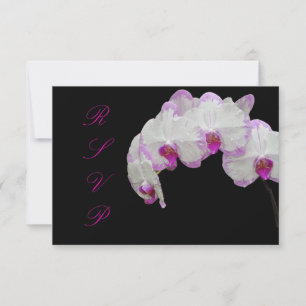 PixDezines rsvp moth orchids/fuschia Card