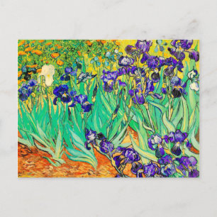 PixDezines van gogh iris/st. remy Postcard