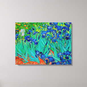 PixDezines van gogh irises/st. remy Canvas Print