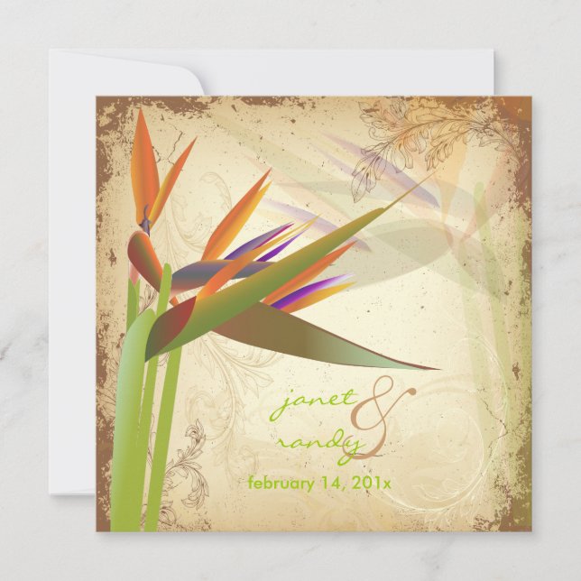 PixDezines VINTAGE BIRD OF PARADISE Invitation (Front)