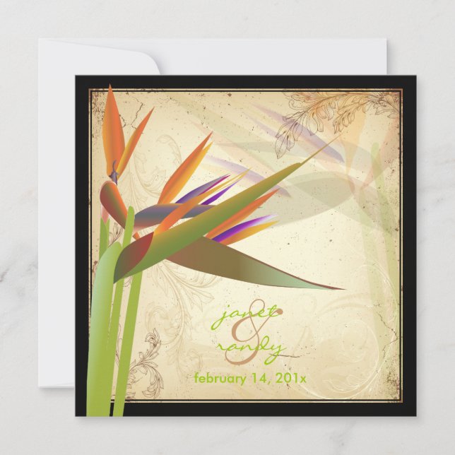 PixDezines VINTAGE BIRD OF PARADISE Invitation (Front)