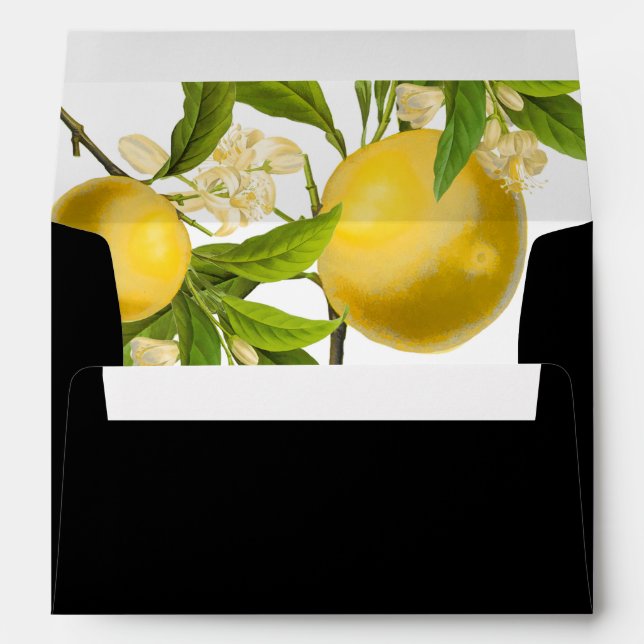 PixDezines Vintage Botanical/LemonDIY colour Envelope (Back (Bottom))