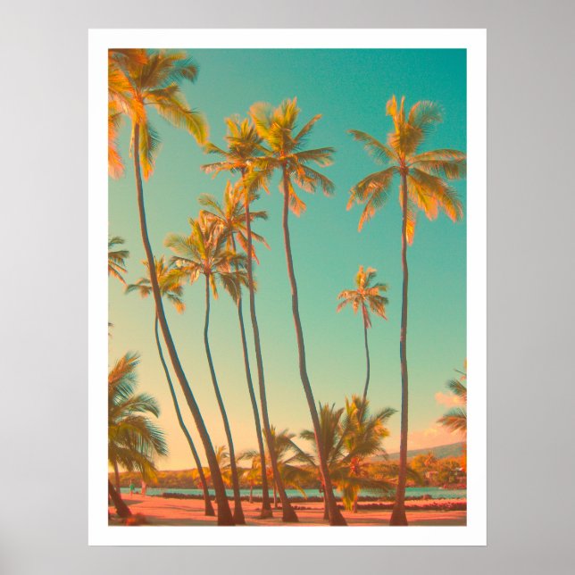 PixDezines vintage hawaiian beach/honaunau Poster (Front)