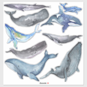 PixDezines Watercolor Whales
