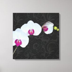 PixDezines White Orchid/DIY Background Colour Canvas Print