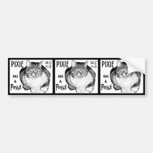 Pixie has a Posse Sticker Set