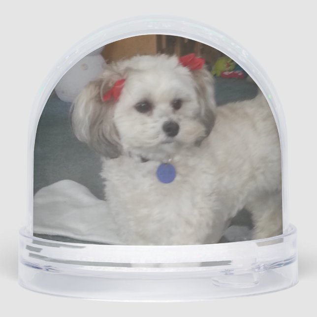 Pixie popper snow globe (Back)