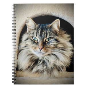 Pixie Spiral Noteboook Notebook