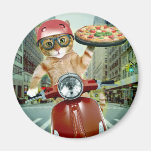 Pizza cat - cat - pizza delivery magnet