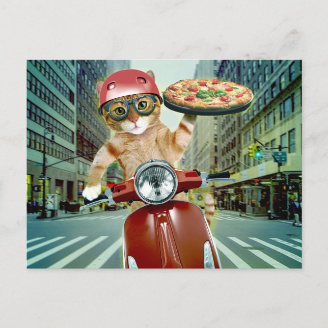 Pizza cat - cat - pizza delivery postcard (Front)