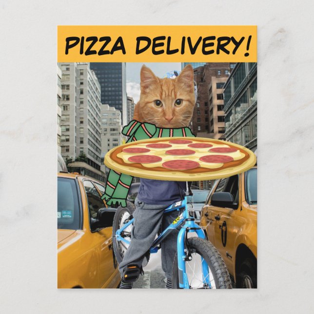 PIZZA CAT - PIZZA DELIVERY! POSTCARDS (Front)