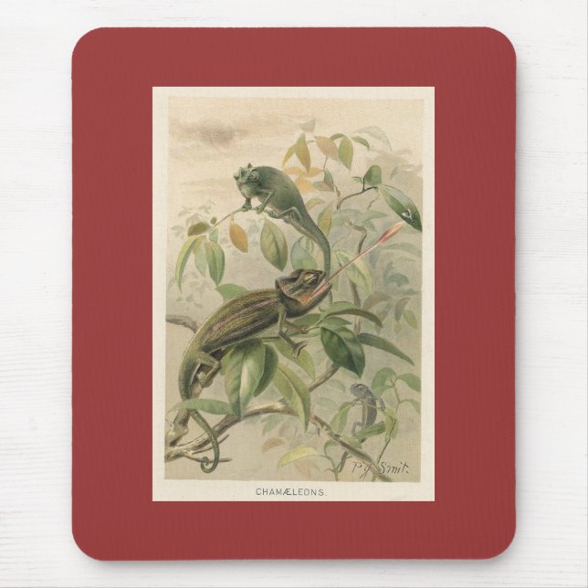 PJ Smith - Chameleons Mouse Pad (Front)