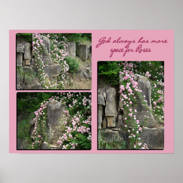 Pk old-fashroses on bluff-ZP Poster (Front)