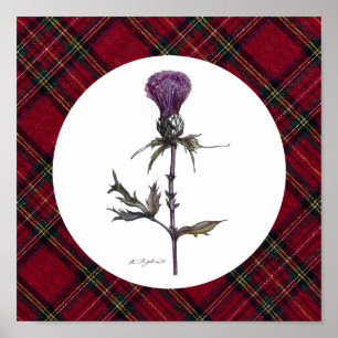 plaid and thistle poster