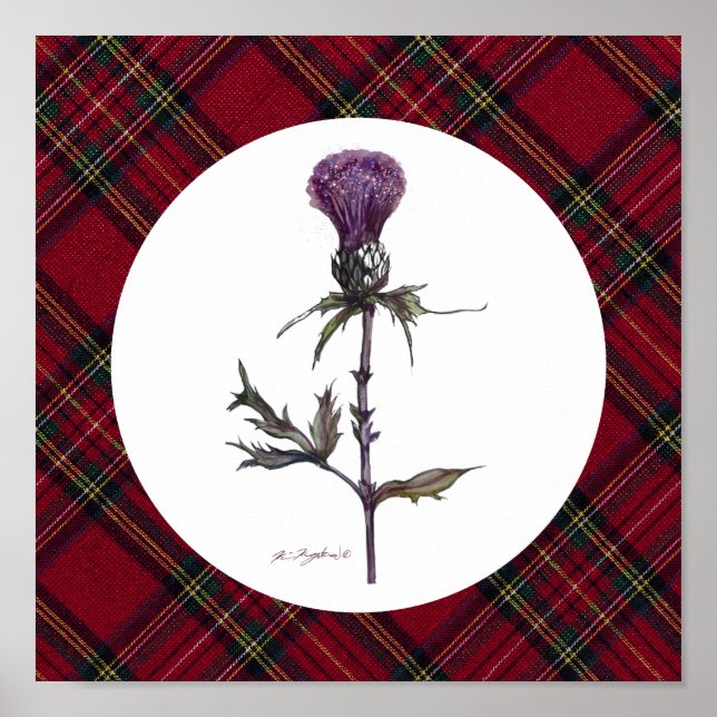 plaid and thistle poster (Front)