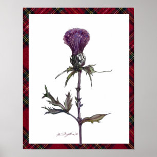 plaid and thistle poster
