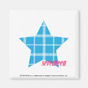 Plaid Aqua 3 Magnet