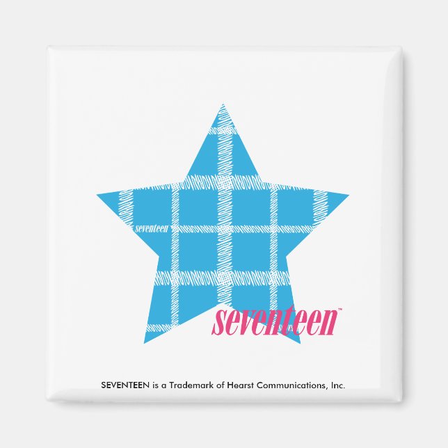 Plaid Aqua 3 Magnet (Front)