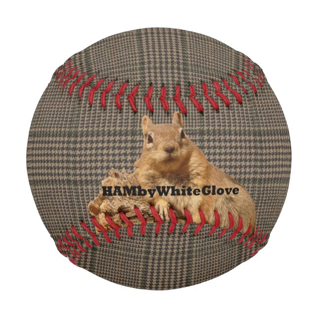 Plaid HAMbyWhiteGlove Squirrel Logo - Baseball (Front)