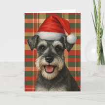 Plaid Miniature Schnauzer Christmas Card