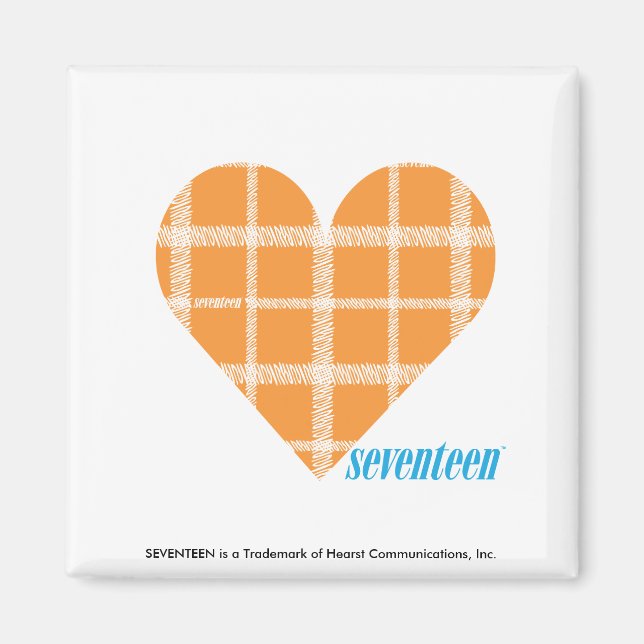 Plaid Orange 4 Magnet (Front)