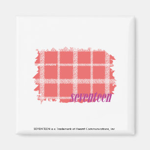 Plaid Pink 2 Magnet