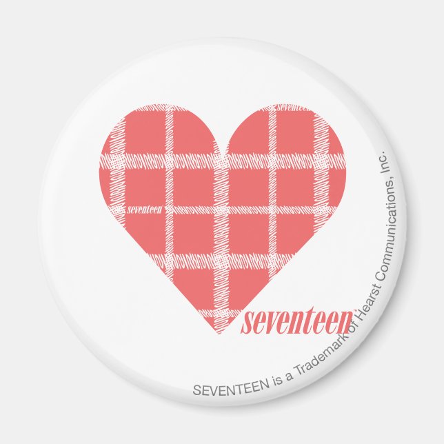 Plaid Pink 4 Magnet (Front)