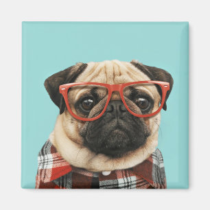 Plaid Shirt Pug Magnet