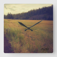 plain and forest