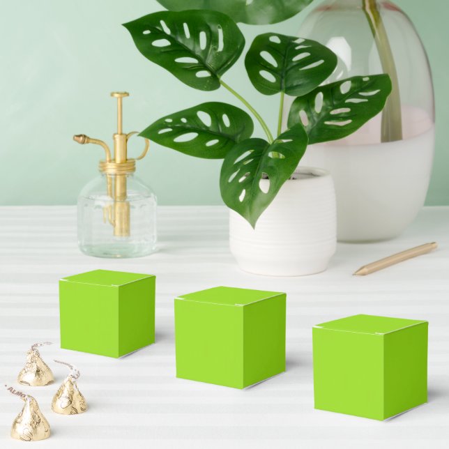 Plain green favour box (Multiple)