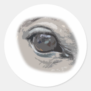 Plain Grey Horse's Eye Classic Round Sticker