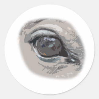 Plain Grey Horse's Eye Classic Round Sticker