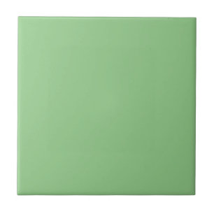 Plain Mint Green  Tile