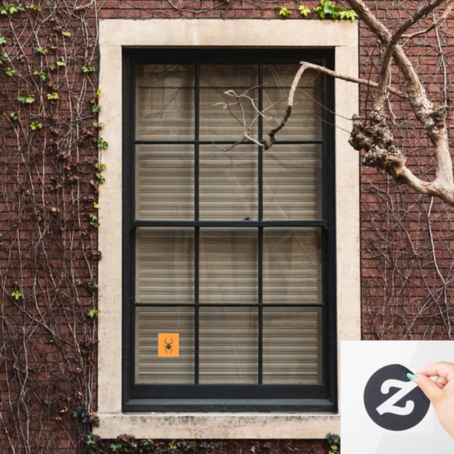 Plain Old Spider (Home Window)