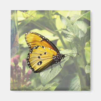 Plain Tiger Butterfly Magnet