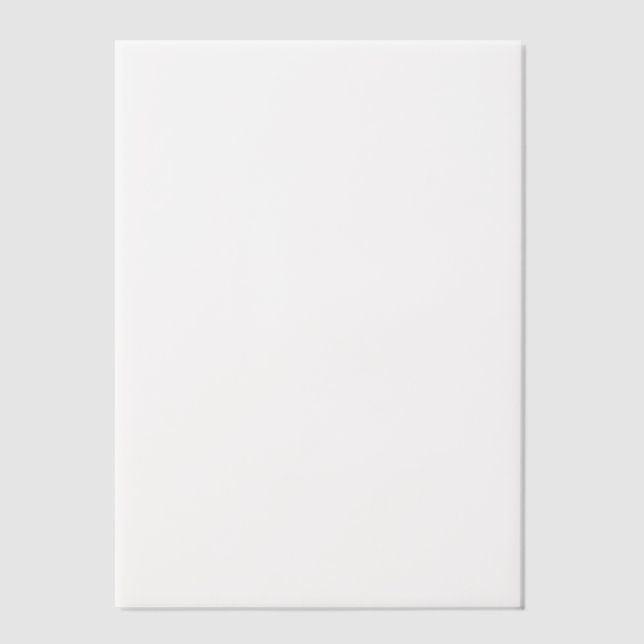 Plain White 5" x 7" Blank Wedding Vellum Invitations (Front)